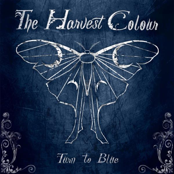 Turn to Blue